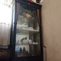 ویترین