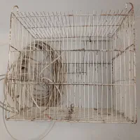 قفس پرنده سالمه