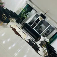 مبلشویی حرفه ای و مدرن در منزل  با تخفیف مبل شویی