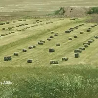 یونجه چین دوم آگهی رو اول بخوانید بعد پیام بدین