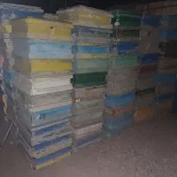 طبق کندو تعداد ۱۰۰ تا