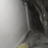 جویای کارهایی بنا