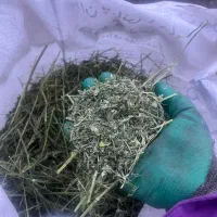 یونجه خرگوش بسته پنج کیلویی