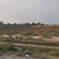فروش-زمین-540-متری-جریه