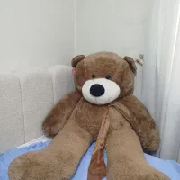 خرس بزرگ