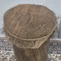 صندلی.تنه درخت .راحت