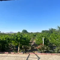 فروش و معاوضه امامزاده روستای اسلاملو قوشاباغلار
