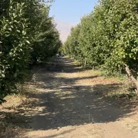 ۲قطعه باغ به متراژ ۲۳۵مترو۳۴۵مترجابان دماوند اقساط