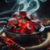 ذغال پسته