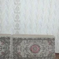 پشتی سالم جدید