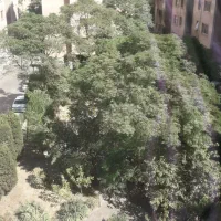 مدیر داخلی مجتمع