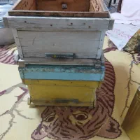 کندو خالی