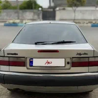 زانتیا ۸۴