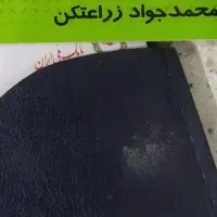 گمشده ،مژدگانی