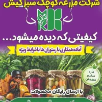 نیروی خانم جوان جهت کارگاه سبزی خورد کنی