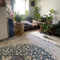 گل های خانگی اکسیژن ساز