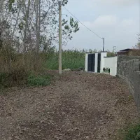 زمین مسکونی شمال