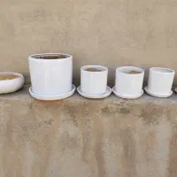 گلدان سفالی سالم 6عدد