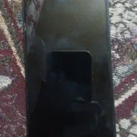 پرنده