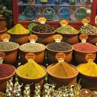 استخدام ویزیتور درصدی