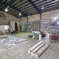 فرش ببر فقط باروزی صد هزار