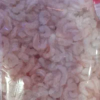 میگو درجه یک رگ گیری شده ارسالی فقط انجام میشه