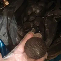 تگ دزدگیر