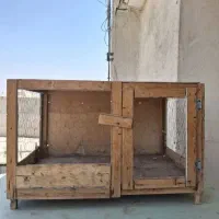جفت کن کفتر