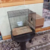 قفس با لانه