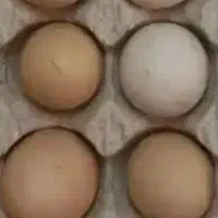 تخم مرغ سیاه محلی تازه