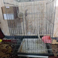 قفس پرنده