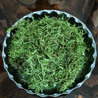 آویشن کوهی