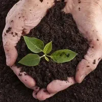 کودهای ارگانیک کامل آلی