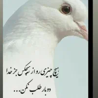 خط تلفن ثابت رند