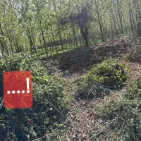 پیمانکاری زمین های بایر