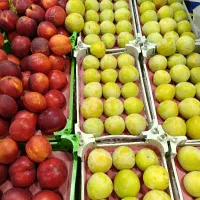 کارگر برای میوه فروشی