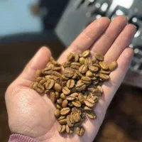 رست و پخش دانه قهوه