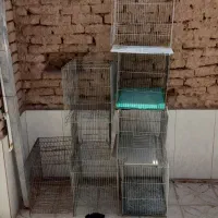 قفس پرنده