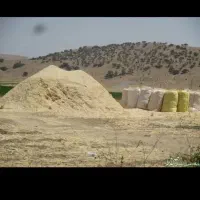 کاه فروشی