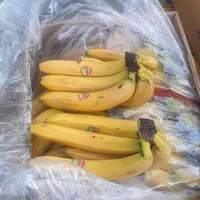 موز فیلیپین واکوادور زیر قیمت میدان