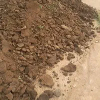 کودحیوانی