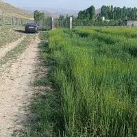 ۷۰۰متر زمین سند تک برگ ارجمند ابتدای جاده طارس