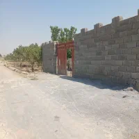 باغ-نقلی