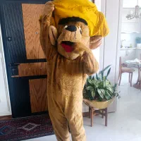 لباس عروسکی تن پوش