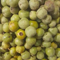 گردو پوستی  و سیب درختی  محصول باغ خودم