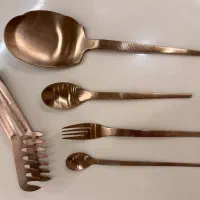 سرویس ۱۲ نفره