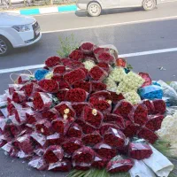 باکس گل دسته گل سفارش گل رز هلندی ممتاز