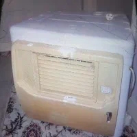 کولر آبی سوزان سالم