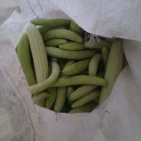 کل منده خیار چمبل