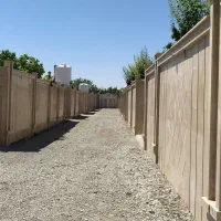 800متری /سند تک برگ /خوش قواره بر23
